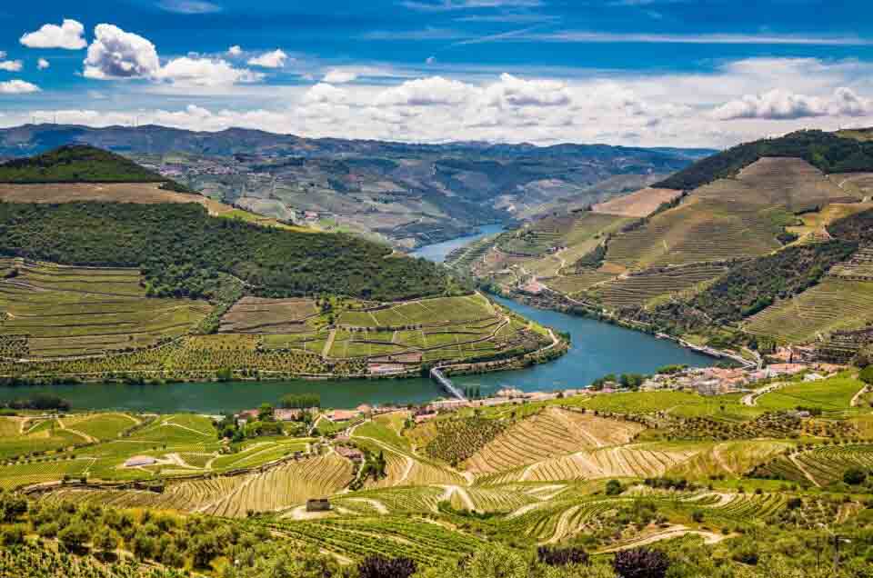 Douro Valley, Portugal - terraced vineyards