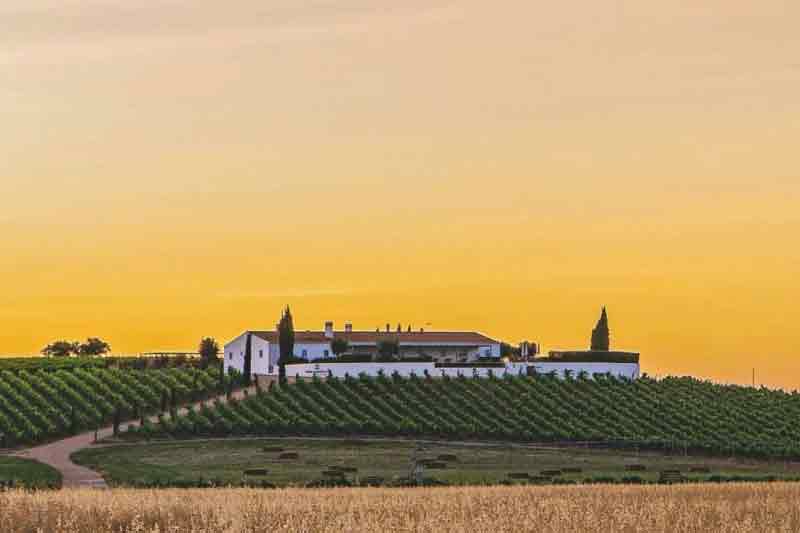 Herdade da Malhadinha Nova, Alentejo